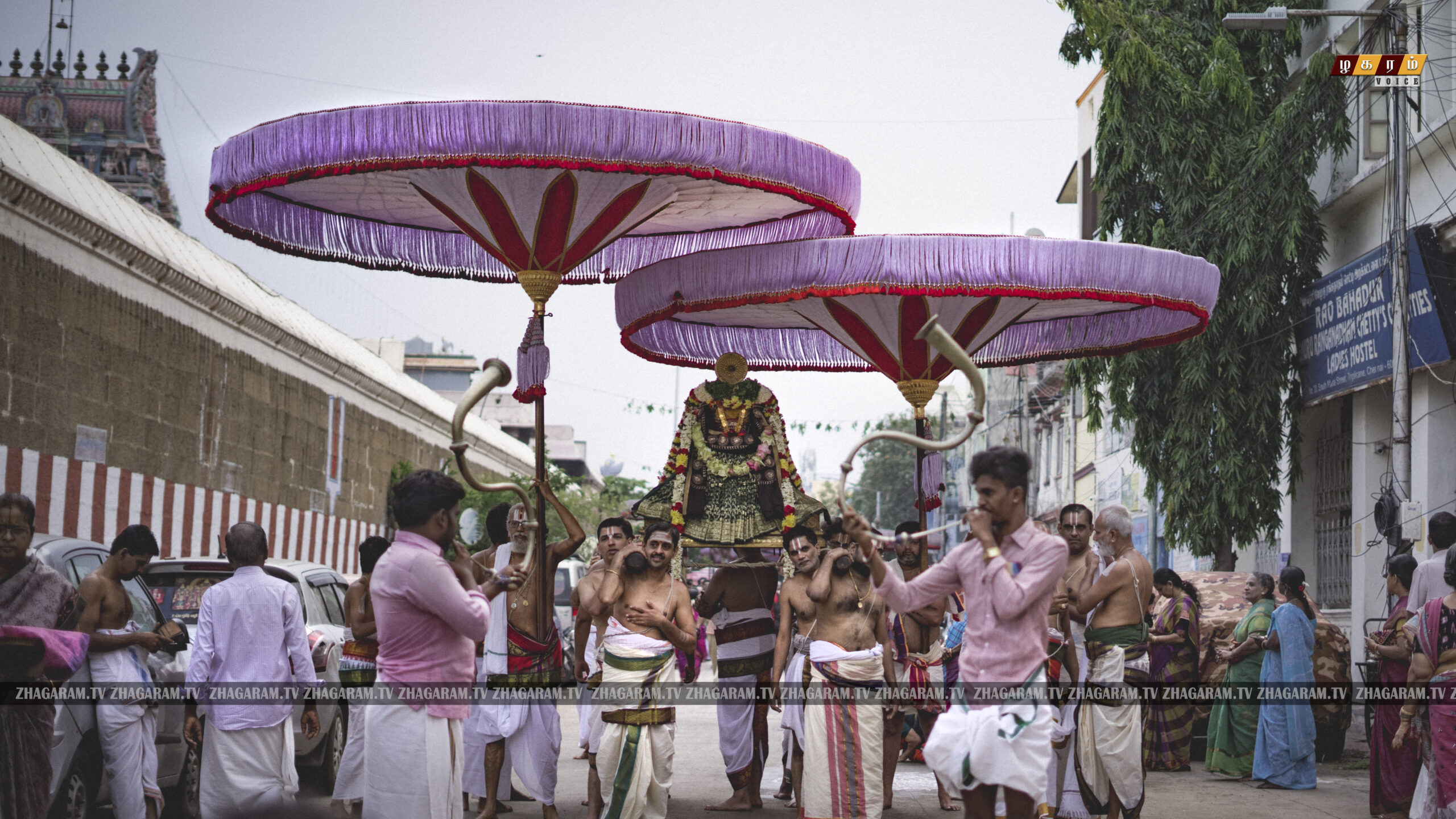 திருவல்லிக்கேணி ஸ்ரீபார்த்தசாரதி பெருமாள்