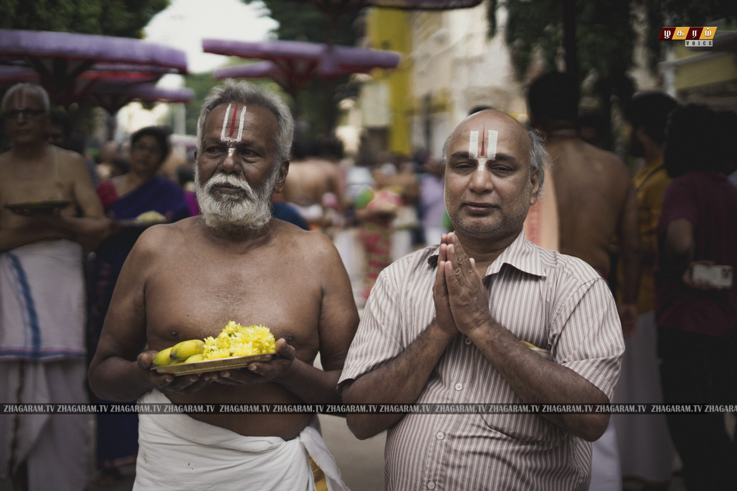 திருவல்லிக்கேணி ஸ்ரீபார்த்தசாரதி பெருமாள்