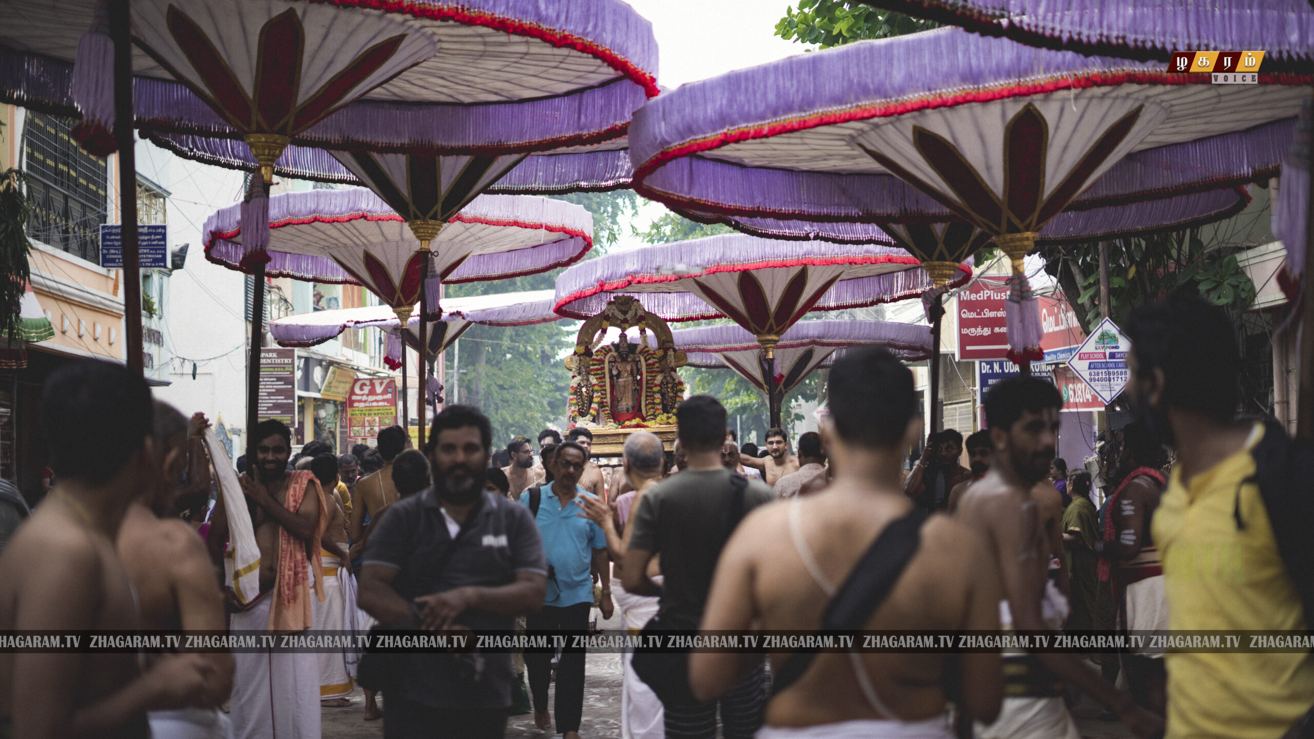 திருவல்லிக்கேணி ஸ்ரீபார்த்தசாரதி பெருமாள்