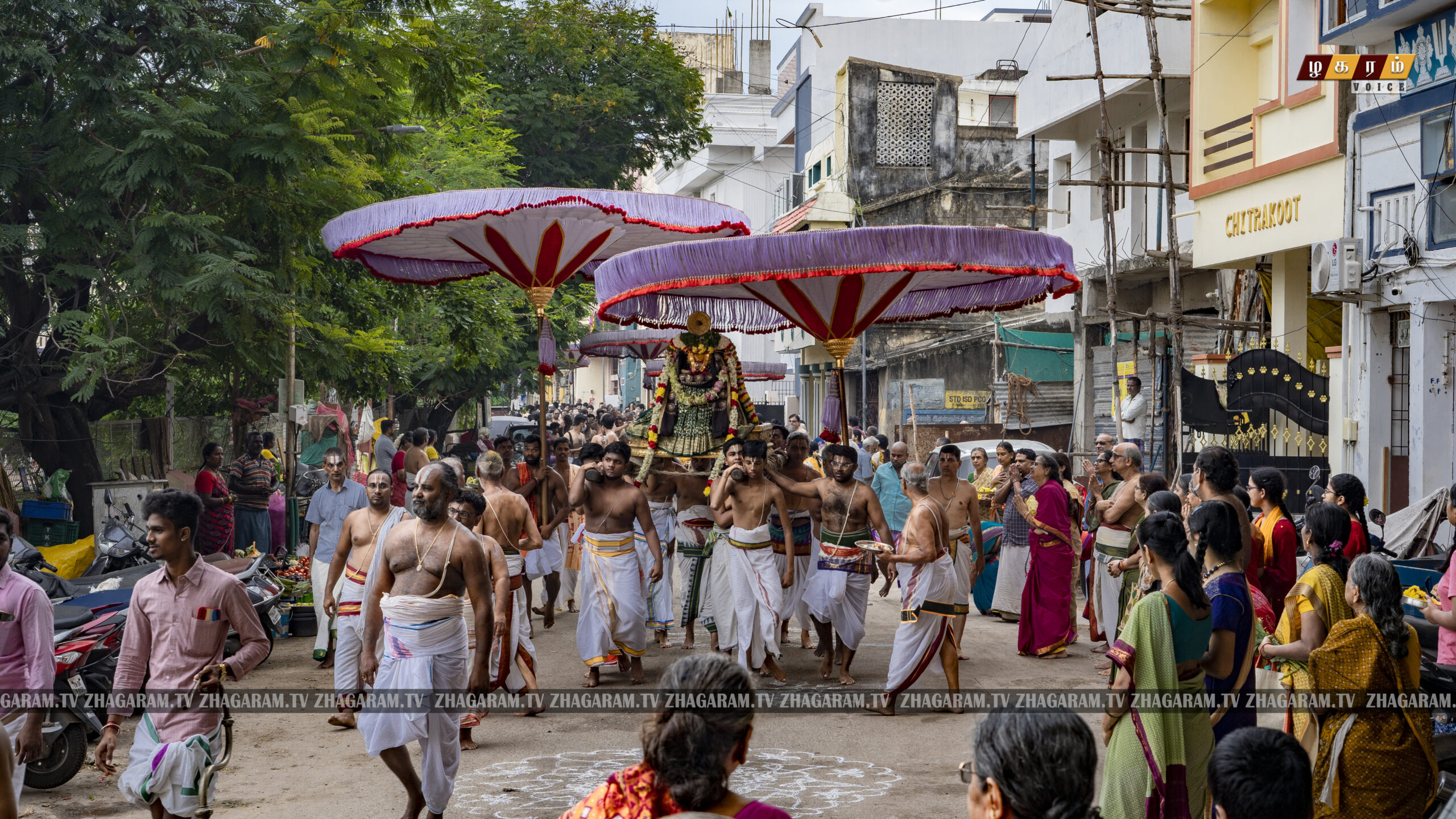 திருவல்லிக்கேணி ஸ்ரீபார்த்தசாரதி பெருமாள்