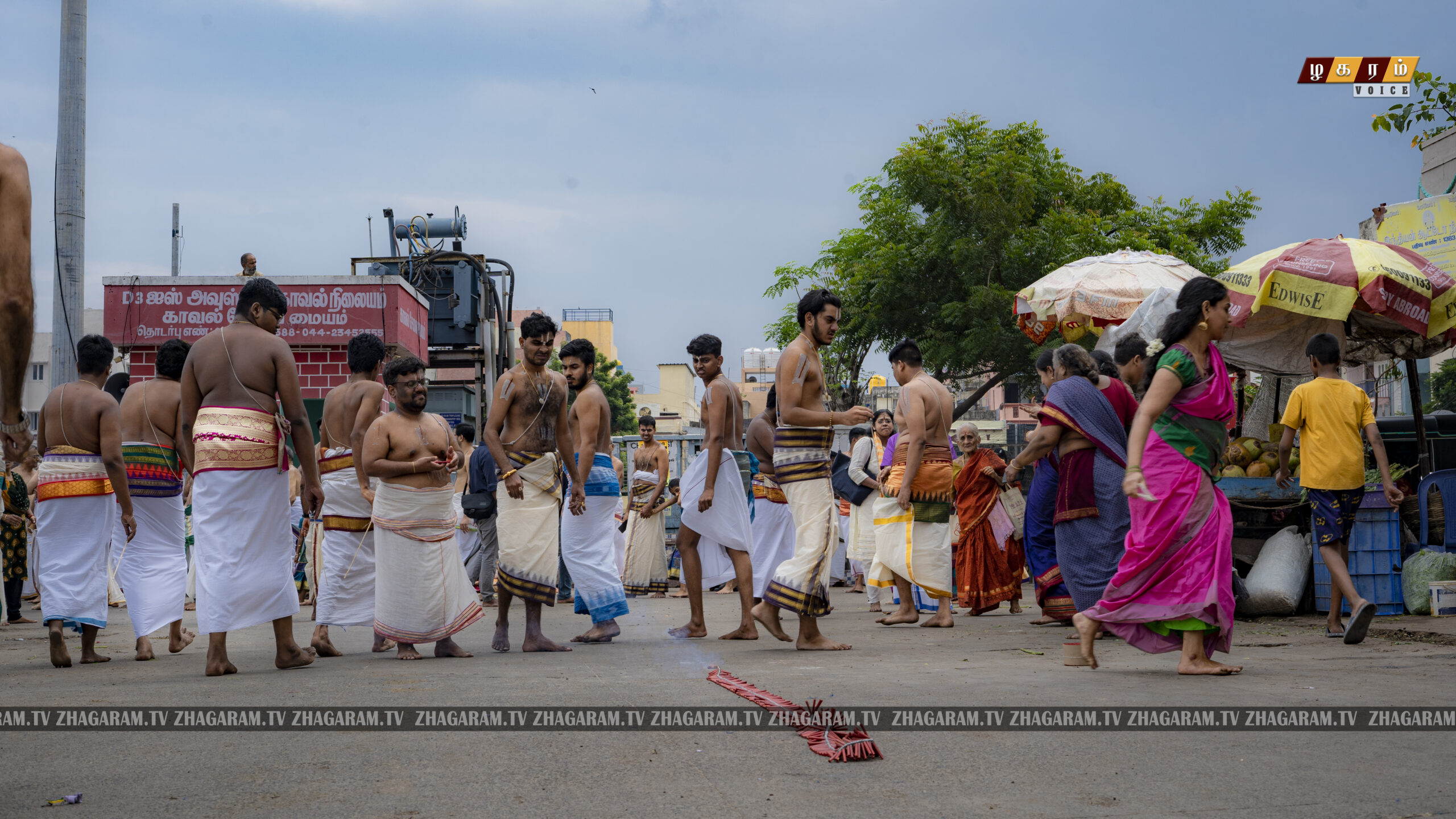 திருவல்லிக்கேணி ஸ்ரீபார்த்தசாரதி பெருமாள்