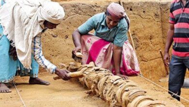 கீழடி ஆதிச்சநல்லூரில் தமிழரின் தண்ணீர் வடிகால் தொழில்நுட்பக் கட்டமைப்பு…!!